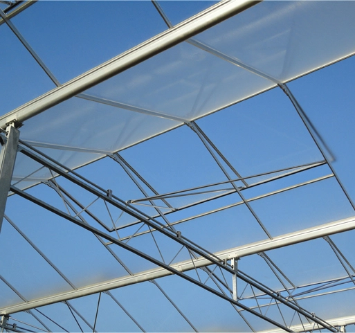Diffuse Glass (Solar Energy Greenhouse Glass)