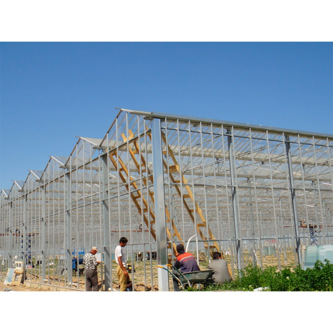 glass panels for greenhouses for sale for diffuse glass solar energy greenhouse glass