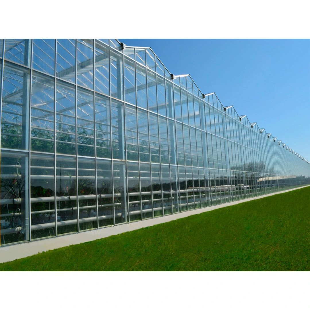 greenhouse window glass for diffuse glass solar energy greenhouse glass