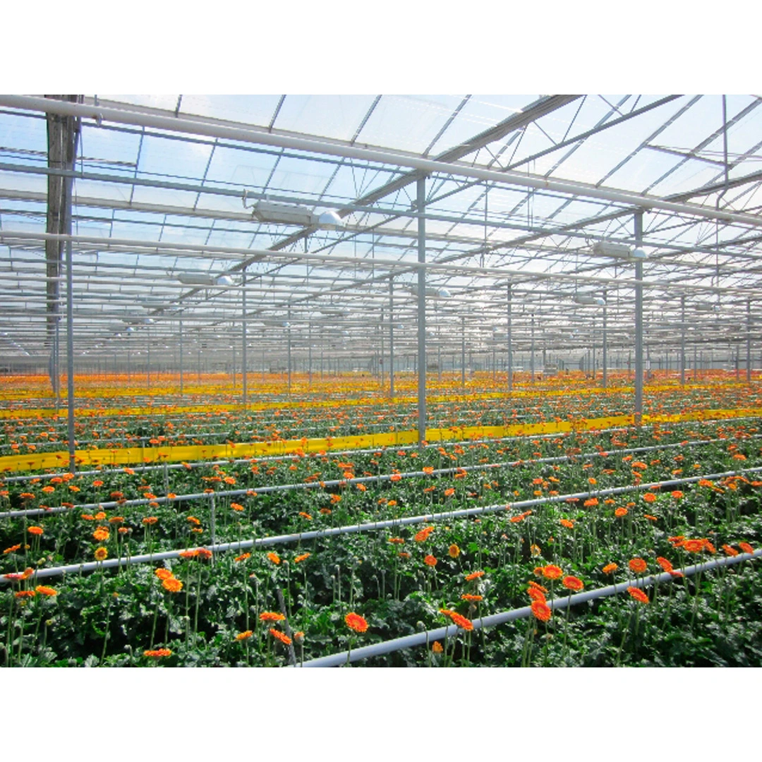 polycarbonate greenhouse glazing for diffuse glass solar energy greenhouse glass