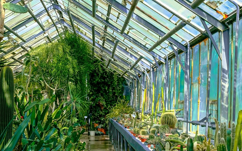 buy replacement greenhouse glass