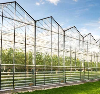 Greenhouse Glass