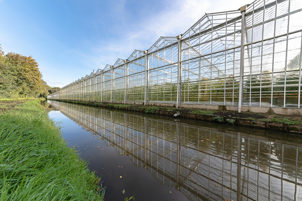Greenhouse_Glass_Technology_in_Modern_Agriculture.jpg