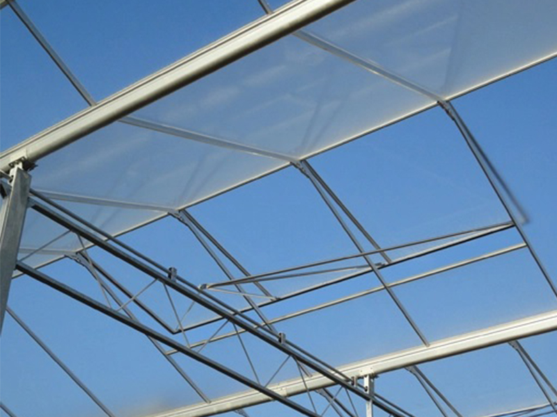 Greenhouse Glass: Solutions by EVERGREEN for Modern Agriculture